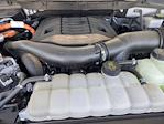 2023 Ford F-150 SuperCrew Cab 4x4 Pickup for sale #PFB90570 - photo 20