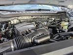 2024 Ford F-250 Crew Cab 4x4 Pickup for sale #REF74949 - photo 19
