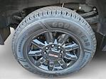 2024 GMC Sierra 3500 Crew Cab 4x4 Pickup for sale #RF249153 - photo 24