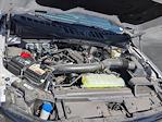 2024 Ford F-150 SuperCrew Cab 4x4 Pickup for sale #RFA34974 - photo 18