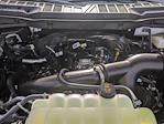 2024 Ford F-150 SuperCrew Cab 4x4 Pickup for sale #RKD88399 - photo 56