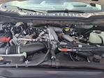 2025 Ford F-350 Crew Cab SRW 4x4 Pickup for sale #SEC79252 - photo 16