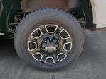 2025 Ford F-350 Crew Cab SRW 4x4 Pickup for sale #SEC80436 - photo 10