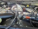 2025 Ford F-350 Crew Cab SRW 4x4 Pickup for sale #SEC91086 - photo 16