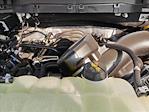 New 2025 Ford F-150 Tremor SuperCrew Cab 4x4 Pickup for sale #SFA08585 - photo 16
