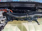 2025 Ford F-150 SuperCrew Cab 4x4 Pickup for sale #SFA39235 - photo 19