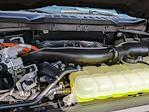 2025 Ford F-150 SuperCrew Cab 4x4 Pickup for sale #SFA40965 - photo 20