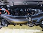 2025 Ford F-150 SuperCrew Cab 4x4 Pickup for sale #SFA51850 - photo 23