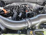 2025 Ford F-150 SuperCrew Cab 4x4 Pickup for sale #SFA95414 - photo 16