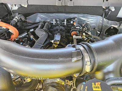 2025 Ford F-150 SuperCrew Cab 4x4 Pickup for sale #SFB27910 - photo 2