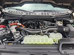2025 Ford F-150 SuperCrew Cab 4x4 Pickup for sale #SFB33255 - photo 12