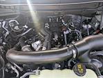2025 Ford F-150 SuperCrew Cab 4x4 Pickup for sale #SFB37806 - photo 16