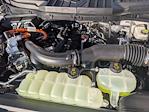 2025 Ford F-150 SuperCrew Cab 4x4 Pickup for sale #SFC34966 - photo 16