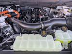 2025 Ford F-150 SuperCrew Cab 4x4 Pickup for sale #SFC35000 - photo 16