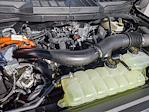 2025 Ford F-150 SuperCrew Cab 4x4 Pickup for sale #SFC37554 - photo 16