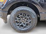 2025 Ford F-150 SuperCrew Cab 4x4 Pickup for sale #SKD34033 - photo 10