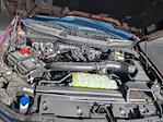 2025 Ford F-150 SuperCrew Cab 4x4 Pickup for sale #SKD58888 - photo 17