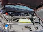 2025 Ford F-150 SuperCrew Cab 4x4 Pickup for sale #SKD64407 - photo 18