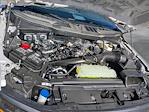 2025 Ford F-150 SuperCrew Cab 4x4 Pickup for sale #SKD64448 - photo 18