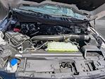 2025 Ford F-150 SuperCrew Cab 4x4 Pickup for sale #SKD66030 - photo 17