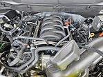 2025 Ford F-150 SuperCrew Cab 4x4 Pickup for sale #SKE28929 - photo 15