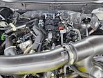 2025 Ford F-150 SuperCrew Cab 4x4 Pickup for sale #SKE40659 - photo 15