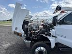 2024 Chevrolet Silverado 5500 Regular Cab DRW 4WD Knapheide Mechanics Body for sale #2462882 - photo 15