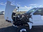 New 2025 Chevrolet Silverado 5500 Crew Cab Aluminum Flatbed Truck for sale #2599622 - photo 8