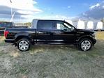 2019 Ford F-150 SuperCrew Cab 4WD Pickup for sale #1960388 - photo 28