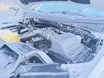 2020 Ford F-150 SuperCrew Cab 4WD Pickup for sale #2055382 - photo 38