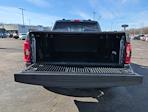 2023 Ford F-150 SuperCrew Cab 4WD Pickup for sale #2320803 - photo 31