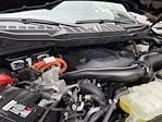 2023 Ford F-150 SuperCrew Cab 4WD Pickup for sale #2321151 - photo 28