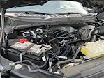 2023 Ford F-150 SuperCrew Cab 4WD Pickup for sale #2328524 - photo 17