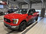 2023 Ford F-150 SuperCrew Cab 4WD Pickup for sale #2363622 - photo 14