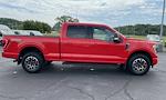 2023 Ford F-150 SuperCrew Cab 4WD Pickup for sale #2378831 - photo 6