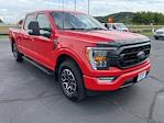 2023 Ford F-150 SuperCrew Cab 4WD Pickup for sale #2378831 - photo 7