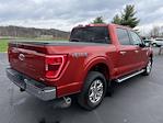2023 Ford F-150 SuperCrew Cab 4WD Pickup for sale #2385931 - photo 6