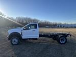 2024 Ford F-450 Regular Cab DRW 4WD, Cab Chassis for sale #2438553 - photo 1