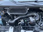 2024 Ford Transit 250 Low Roof RWD Empty Cargo Van for sale #2440243 - photo 4