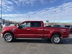 2024 Ford F-150 SuperCrew Cab 4WD Pickup for sale #2459843 - photo 20
