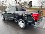 2023 Ford F-150 SuperCrew Cab 4WD Pickup for sale #PFA36348P - photo 7