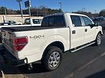 2013 Ford F-150 SuperCrew Cab 4WD Pickup for sale #SED04019B - photo 11
