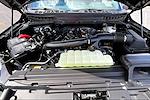 New 2025 Ford F-150 Tremor SuperCrew Cab for sale #SFC09421 - photo 11
