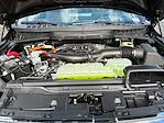2025 Ford F-150 SuperCrew Cab 4WD Pickup for sale #SFC44420 - photo 27