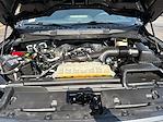2024 Ford F-150 SuperCrew Cab 4WD Pickup for sale #SLE63915A - photo 25