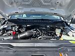 New 2026 Ford F-250 XL Crew Cab for sale #TED19844 - photo 26