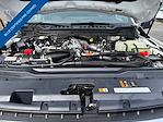 2024 Ford F-450 Crew Cab DRW 4WD Pickup for sale #TED40025A - photo 24