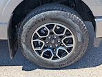 2023 Ford F-150 SuperCrew Cab 4x4 Pickup for sale #P14010 - photo 10