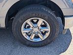 2024 Ford F-150 SuperCrew Cab 4x4 Pickup for sale #P14171 - photo 9