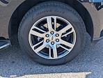 2023 Ford Expedition 4x2 SUV for sale #P14344 - photo 9
